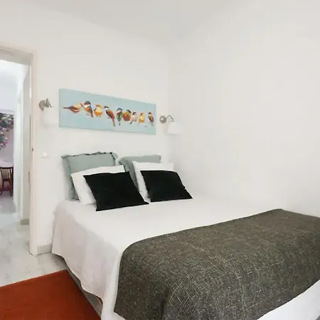 The Garden - Charming 1 Bedroom In Graca 公寓 *